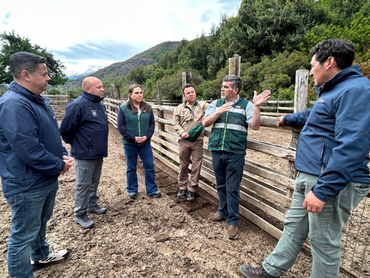 Autoridades regionales dan inicio a temporada de campos de pastoreo cordillerano 2026-2027