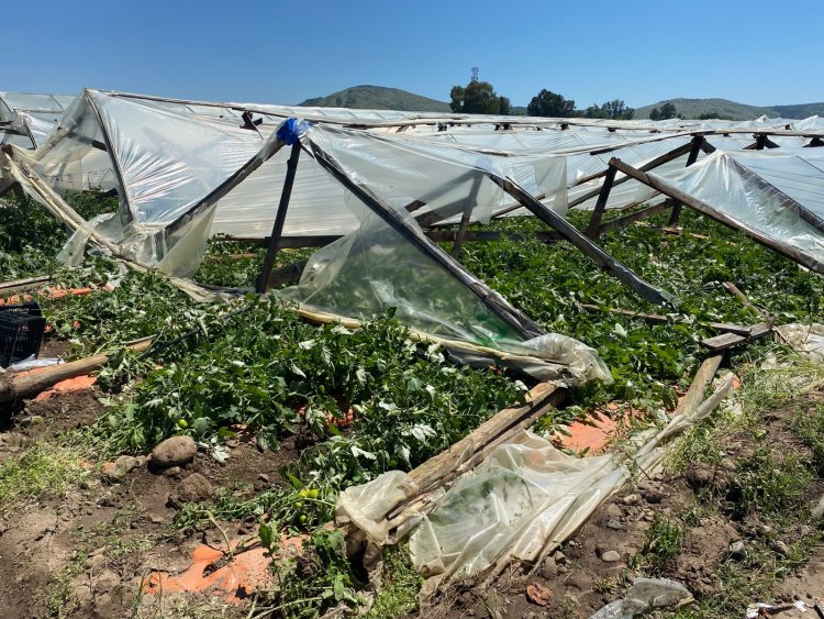 INDAP despliega operativo en terreno en la Región del Maule para evaluar daños por temporal y coordinar medidas de apoyo a agricultores