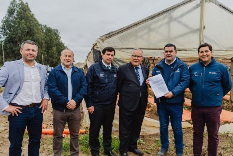 Gobierno decreta emergencia agrícola en 14 comunas de la Región del Maule