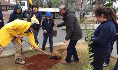 Plantan árboles nativos en la Plaza de Panimávida