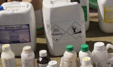 Banda premunidos de armas de fuego asaltaron empresa agrícola en Longaví