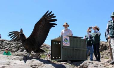 En una hectáreas crecerá zoológico linarense “Casa Noé, Mundo Animal”