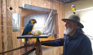 Guacamayos azules se suman a la familia de “Casa Noé, Mundo Animal”