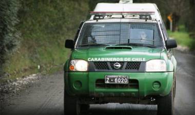 Delincuentes envenenan perros y encañonan a guardia para robar maquinaria agrícola