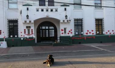 “Mujeres por Linares” niega haber organizado intervención de apoyo a Carabineros de Linares