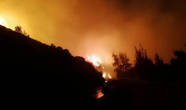 Cuatro brigadas de Conaf y seis helicópteros trabajan para controlar incendio forestal en “El Melado”