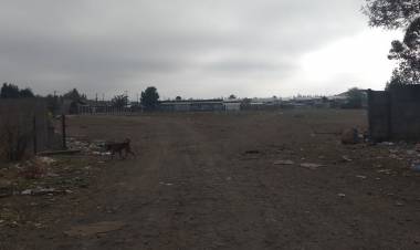 Ciudadano haitiano es acuchillado en sitio eriazo del sector oriente de Linares