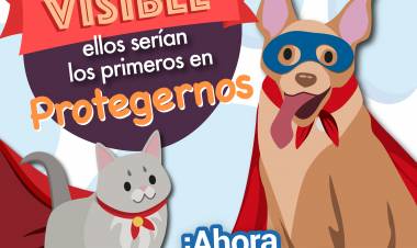 Gobierno lanza campaña para prevenir el abandono de mascotas por Covid-19