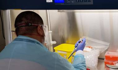 Los detalles de los casos positivos de Covid-19 en Linares