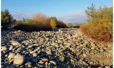 Movimiento “Ancoa Santuario Libre”: regantes no están respetando el caudal ecológico