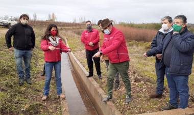 Subsecretario de Agricultura visitó a productores agrícolas y ganaderos de Linares y Cauquenes
