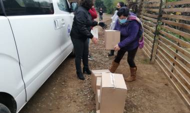 En Colbún han entregado más de mil cajas de alimento