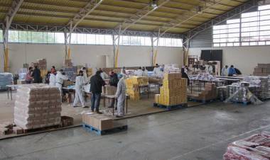 Piden que Contraloría del Maule investigue entrega de cajas de alimentos en Linares