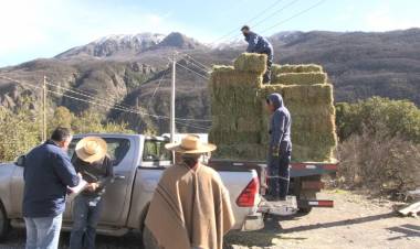 Entregan fardos a más de 900 campesinos de Colbún