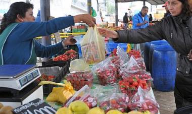 Alcalde de Longaví anuncia reapertura de la “Feria Libre” a contar del 19 de agosto