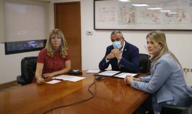 Anuncian proyecto que impide contratación de futbolistas con condenas por VIF