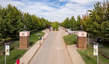 Junta directiva de la UTalca aprobó el cierre de la Facultad de Ciencias Forestales