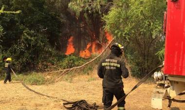 Agro refuerza necesidad de prevenir ocurrencia de incendios forestales en el Maule