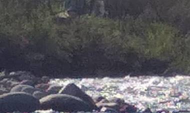 Denuncian nueva intervención del río Ancoa en Linares