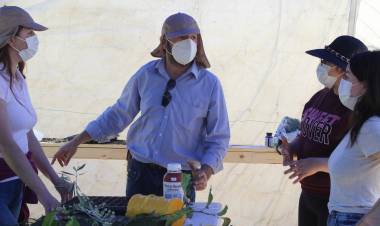 Estudiantes de fruticultura y de sistemas de riego del CFT Maule aprendieron técnicas de producción de plantas en trabajo terreno