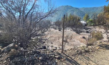 Desesperado llamado de las autoridades a la ciudadanía a prevenir incendios forestales ante aumento de temperaturas