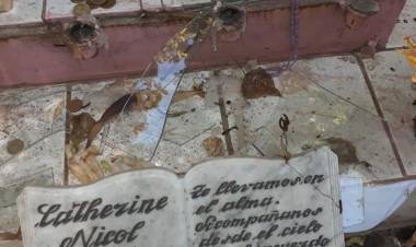 Repudian destrucción de animita que recuerda a Catherine “Catita” Vásquez 