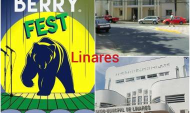 Corte de Apelaciones de Talca falla a favor de la municipalidad de Linares en bullada demanda de Bear Berry