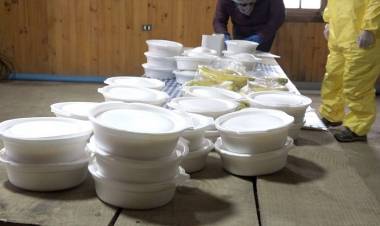 Linares: comienza entrega de colaciones a 2 mil familias afectadas por la cuarentena y pandemia