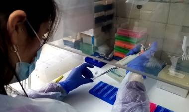 Laboratorio del hospital de Linares cumplió un año realizando exámenes PCR para Covid-19