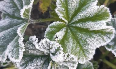 Experto UTalca: Heladas en la zona central se podrían extender hasta el mes de septiembre