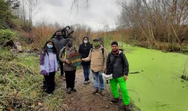 (AUDIO) Ambientalistas llaman a proteger y limpiar el humedal “Ayüwün”