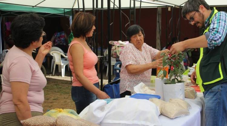  Mujeres rurales de Longaví obtienen premio nacional
