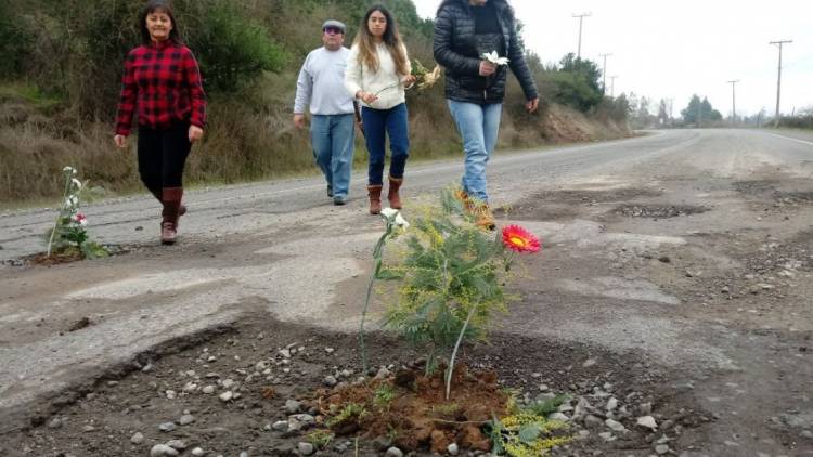 Licitan mejoramiento de camino donde plantaron flores en Colbún