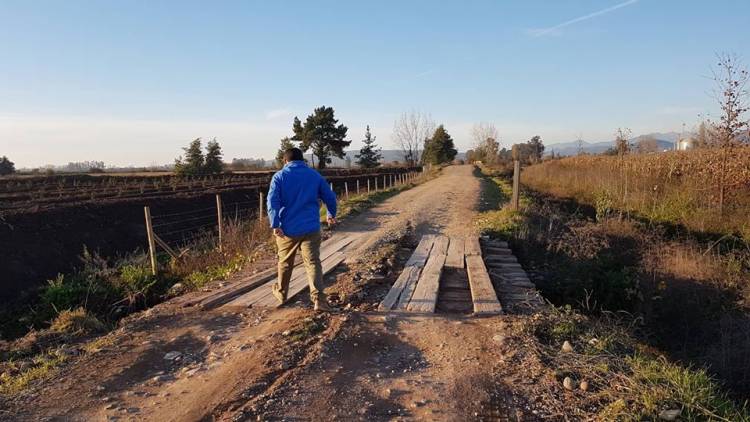 Grave estado de puentes en zonas rurales de Longaví