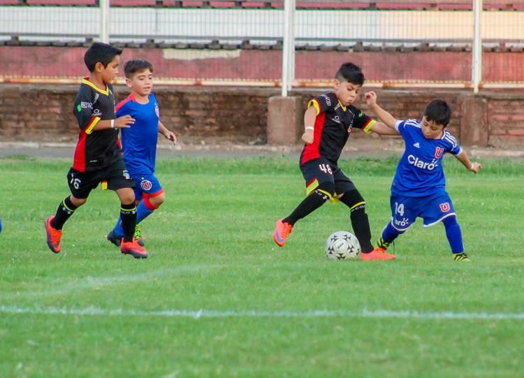 Equipos de Chile y el extranjero se preparan para el Torneo de Fútbol "Linares Cup"