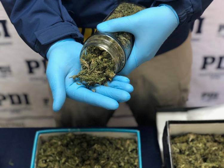 PDI sacó de circulación 2 kilos de cannabis procesada en Yerbas Buenas