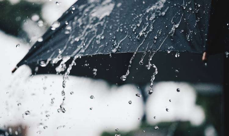 Precipitaciones podrían alcanzar hasta los 50 mm entre jueves y sábado en el Maule