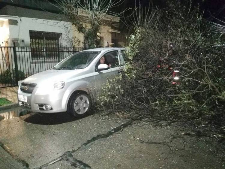 Alerta temprana por lluvias y vientos en la provincia de Linares