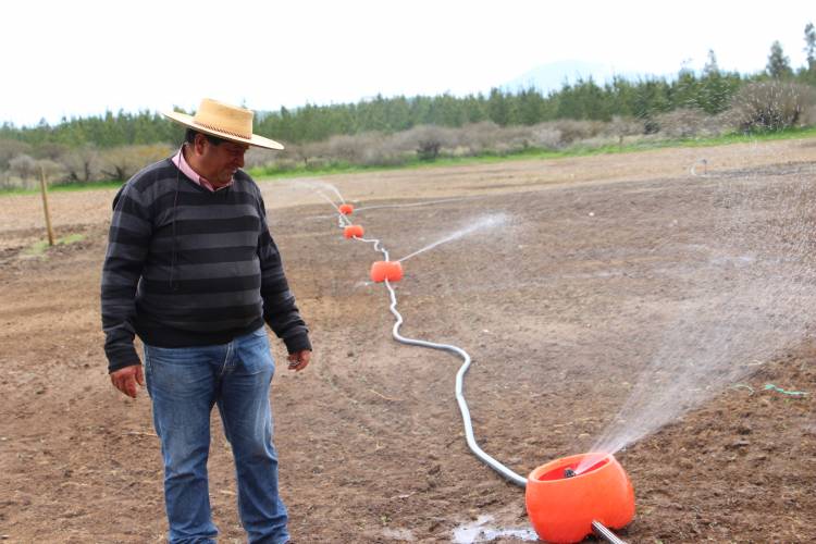 Pequeños productores hacen frente a la sequía con la incorporación de tecnología en sus predios