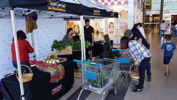 Usuarios de Indap inauguran nuevo mercado campesino en “Espacio Urbano” de Linares