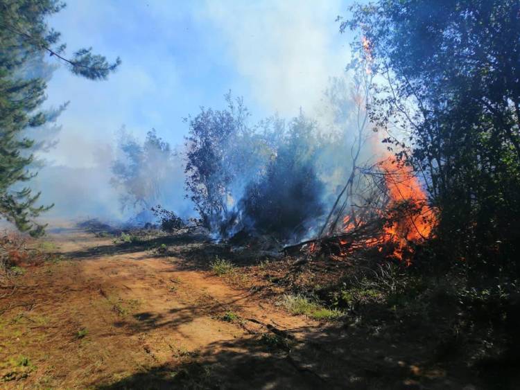 La agotadora labor de bomberos de Linares: 21 emergencias en 72 horas