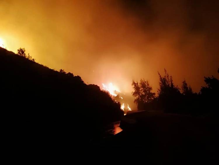Cuatro brigadas de Conaf y seis helicópteros trabajan para controlar incendio forestal en “El Melado”