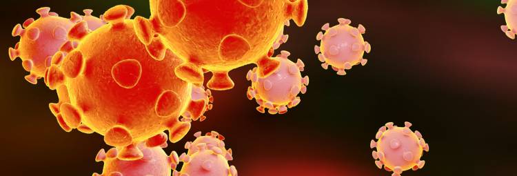 Linares aumentó a 11 los casos positivos de Coronavirus