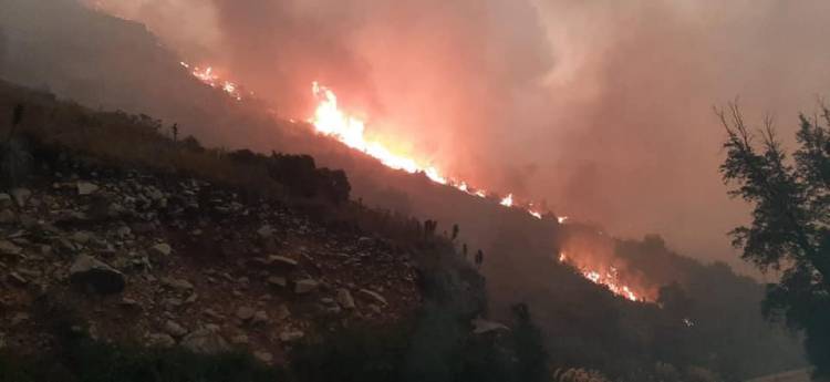 Graves daños deja incendio forestal en “Quebrada Medina” de sector “El Melado”