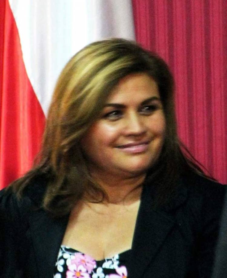 Myriam Alarcón confirma candidatura a alcaldesa por Linares y exige primarias para definir  postulante en la ex Nueva Mayoría