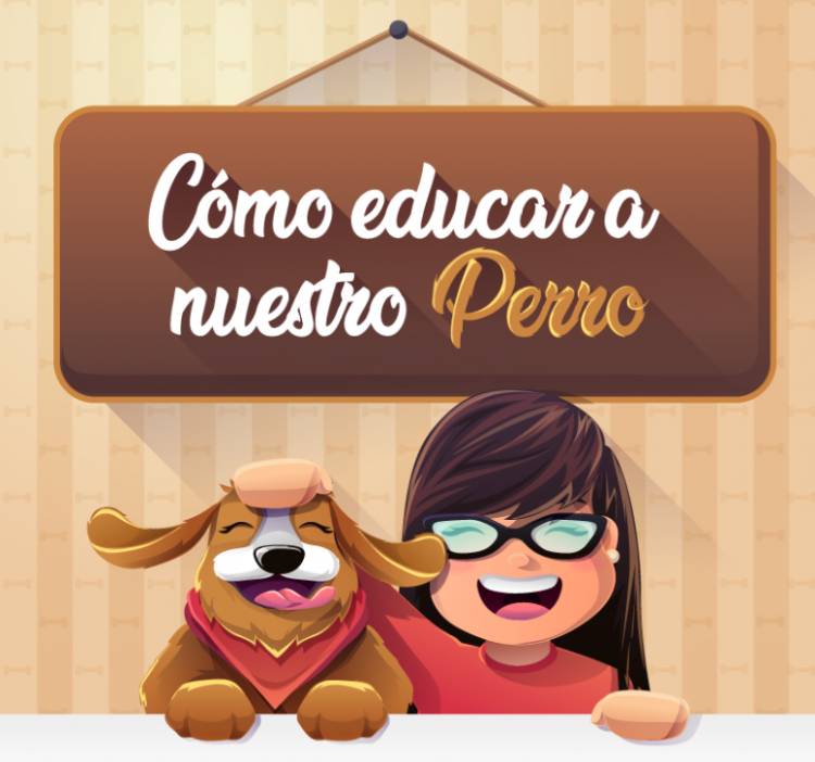 Cómo educar a nuestro perro