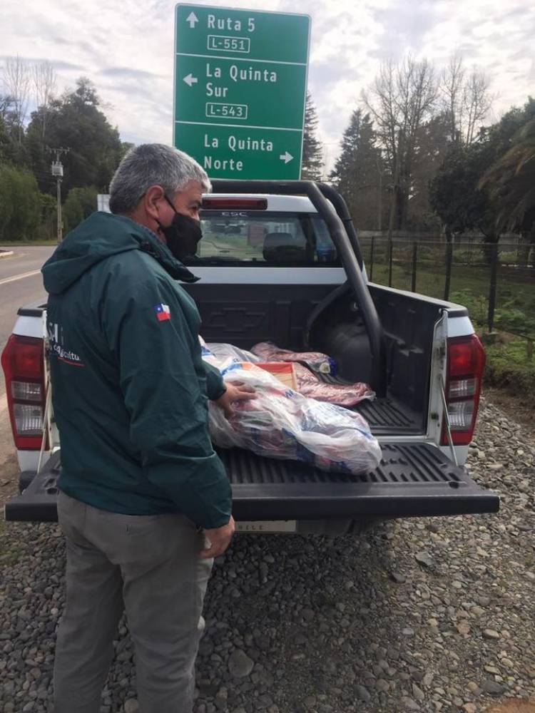 SAG decomisa 40 kilos de carne ilegalmente faenada en sector “La Quinta” de Longaví