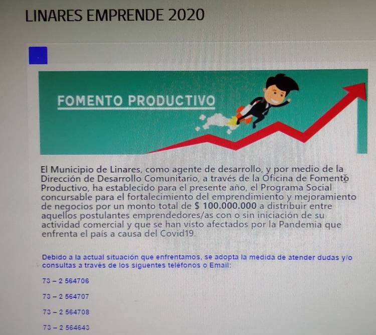 Municipio amplía el plazo para postular al Programa “Linares Emprende”