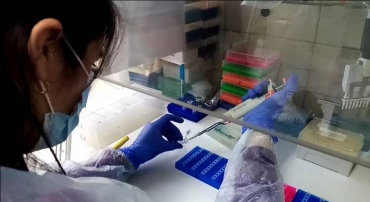 Laboratorio del hospital de Linares cumplió un año realizando exámenes PCR para Covid-19